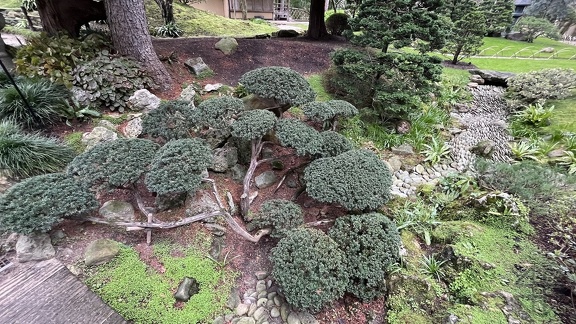 Albert Kahn IMG 0151